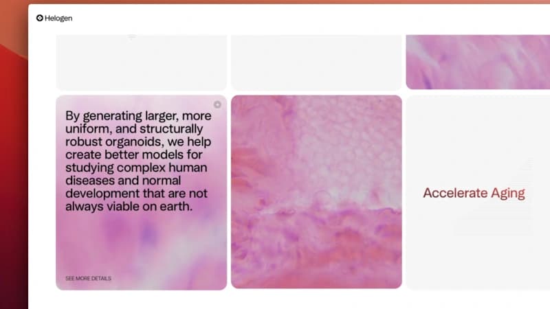 Designing the Future of Space Biology